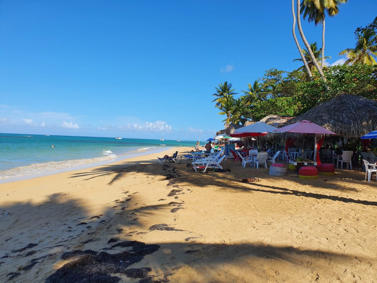 Las Terrenas & El Limon VIP Dominican Republic Holiday Trips